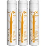 RAYWELL Bio Hidra Skin Hair Dried Shampoo Dry 'n 250 ml