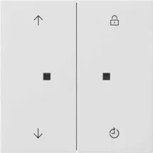 Gira Flächenschalter 5492112
