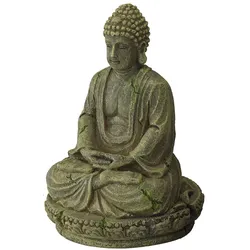 buddha 2 Aquariendeko