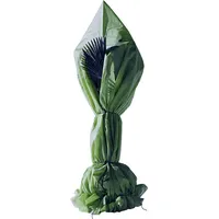 Dittmann Premium Frostschutzhülle olivgrün, Größe XL