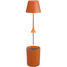 SOMPEX Peeky orange