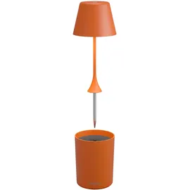 SOMPEX Peeky orange