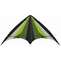 Günther 1077 - Neon Loop, 160 Lenkdrachen, 160x80cm