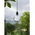 StarTrading LED Leuchtkugel Hängeleuchte Glaskugel 12,5 cm für Garten Terrasse transparent