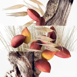 Hermès Un Jardin à Cythère Eau de Toilette refillable 50 ml