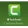 TechSmith Camtasia Assets