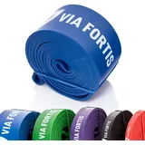 VIA FORTIS Premium Resistance Bands + Übungsanleitung und Tasche - Widerstandsbänder/Klimmzugband und Klimmzughilfe/Fitnessband/Trainings-Bänder für Fitness & Krafttraining