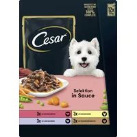 Cesar Selektion Fleisch und Gemüse in Sauce 12 x 100 g