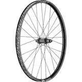 DT Swiss Laufrad H 1900 Spline 29" 622 x 35 mm