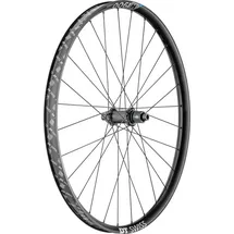 DT Swiss Laufrad H 1900 Spline 29" 622 x 35 mm