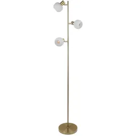 NÄVE Learta 154,0 cm Gold