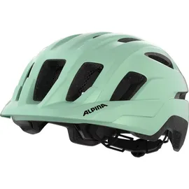 Alpina Paranus 55-59 cm grün matt 2025