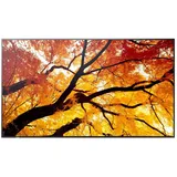 Sharp MultiSync M322 32"