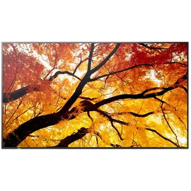 Sharp MultiSync M322 32"