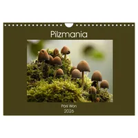 Calvendo Pilzmania (Wandkalender 2026 DIN A4 quer), CALVENDO Monatskalender: