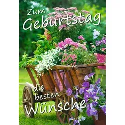 KOMMA3 Geburtstagskarte 01-355 Bild Bild