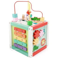 Fisher-Price Fisher Price Activity Cube Holz