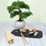 BENTO Sushi Schieferplatten Set für 2 Personen - 1x 315301 & 1x 53319