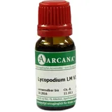 Arcana LYCOPODIUM LM 6 Dilution 10 ml