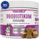 PETSUPLUS Probiotika Hund, 120 Kautabletten, Dogs Hunde Nahrungsergänzungsmittel mit Flohsamenschalen, Repariert die Darmflora & schützt das Immunsystem, Kur Gegen Durchfall Erbrechen und Sodbrennen