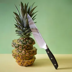 Arcos Serie Manhattan - Santoku Messer - Klinge aus Nitrum geschmiedetem Edelstahl 190 mm - HandGriff Polyoxymethilen (POM) Schwarz (Seiden klinge)