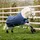 Horseware Amigo Hero 900 Pony T/O Lite 0g 4'9 Blau