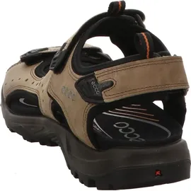 ECCO Offroad Herren nutmeg brown 47