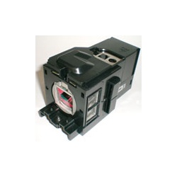 Lampe Ruby TOSHIBA TDP S25 Ruby-LMP4072