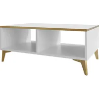 Mirjan24 Couchtisch, Weiß, Rechteckig, 100x40x50 cm, Wohnzimmer, Wohnzimmertische, Couchtische