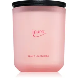 ipuro Classic Orchidée Duftkerze 270 g