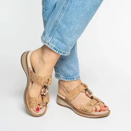 ARA Hawaii 43