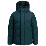 JACK & JONES JACK&JONES JUNIOR Jungen Jjworld Puffer Jacket Jnr Pufferjacke, Magical Forest, 128