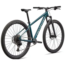 Specialized Rockhopper Expert 2026 29 Zoll RH L grün