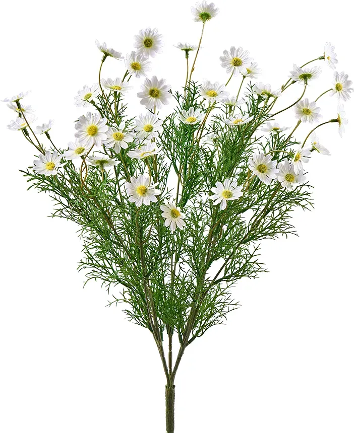 Gänseblümchen Strauß 61cm weiß