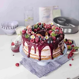 Kaiser La Forme Plus Springform mit Rohrboden