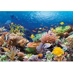 Castorland C-101511-2 Coral Reef Fishes,Puzzle 1000 Teile