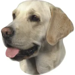 Aufkleber Labrador hell