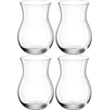 LEONARDO Vase Casolare Transparent