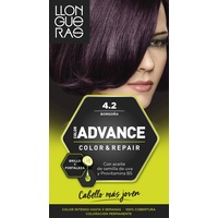 LLONGUERAS Llong Advance 4.2 Borgoña