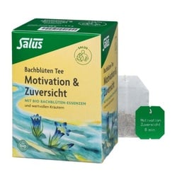 Salus Bachblüten Tee Motivation (15Btl)