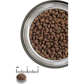 Belcando Puppy GF Poultry 4 kg