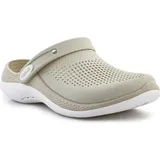 bone 37-38