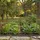 CLP Gartenzaun 124 x 116 cm Antik Braun/Metall