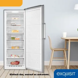 Exquisit GS5380-NF-H-050D Silber