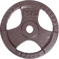 Sport-Thieme Sport-Thieme, Hantelscheiben, (1 x 25 kg)