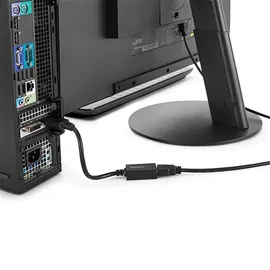 Startech DisplayPort zu HDMI Adapter 0,21 m Schwarz