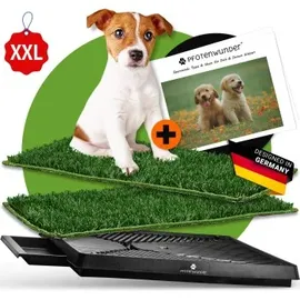 pfotenwunder® Hundeklo XXL 76*51cm, 2 Easy-Wash-Rasen + 1 Büchlein, Hundetoilette für kleine & große Hunde, festes Gras, Welpentoilette drinnen Welpenklo zuhause Gras Hundetoiletten Balkon Indoor WC Klo