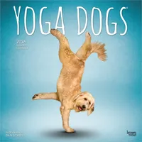 Brown trout-auslieferer flechsig Yoga Dogs - Hunde Yoga 2026