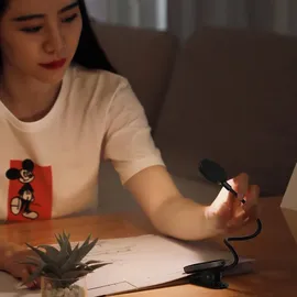 Baseus Mini-LED-Leselampe zum Bildschirmlesen mit Clip grau