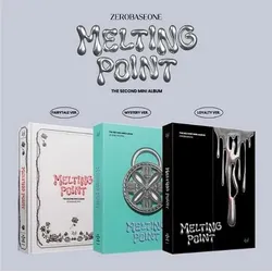 Melting Point - Photobook